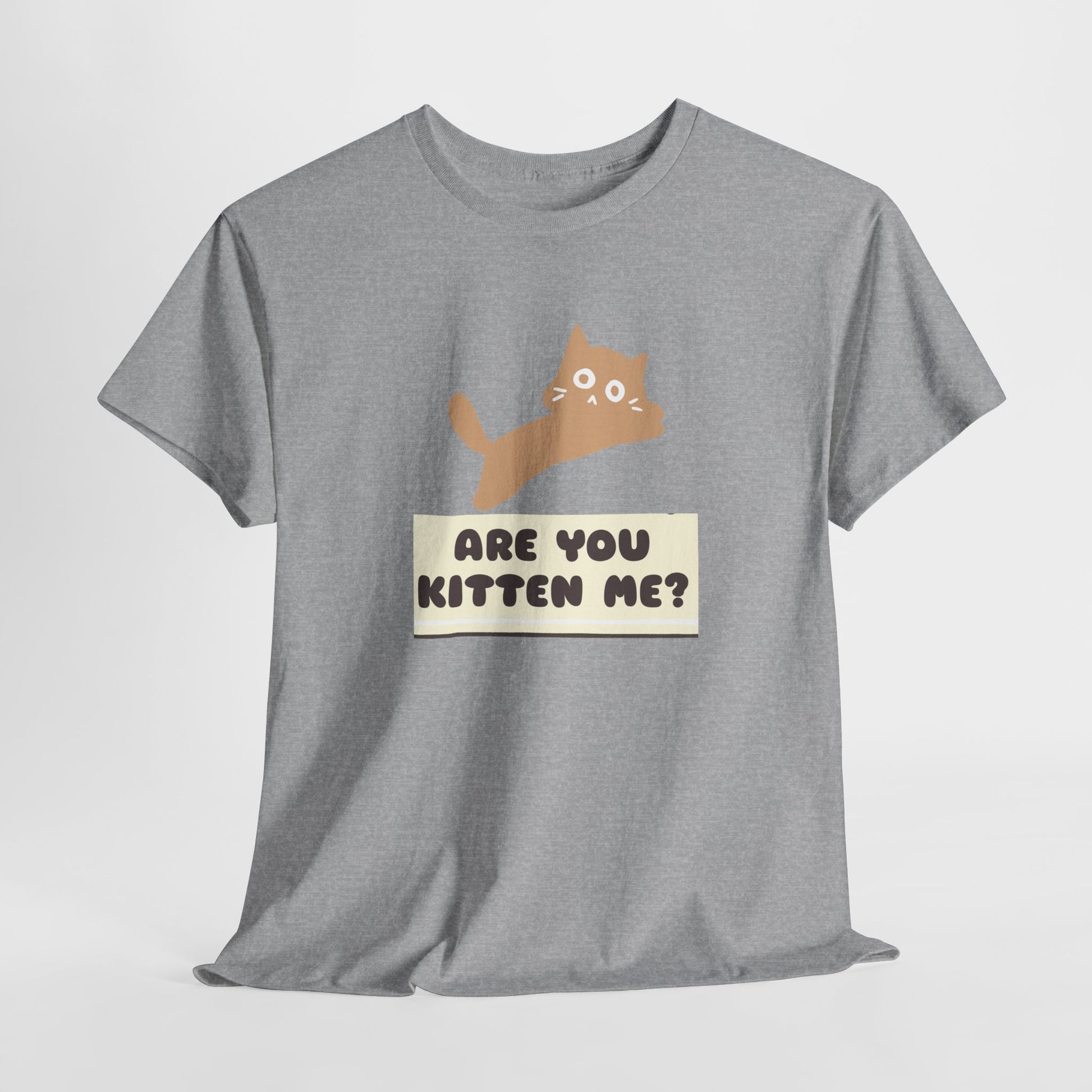 Are You Kitten Me? Cat Shirt – Funny Cat Lover Tee