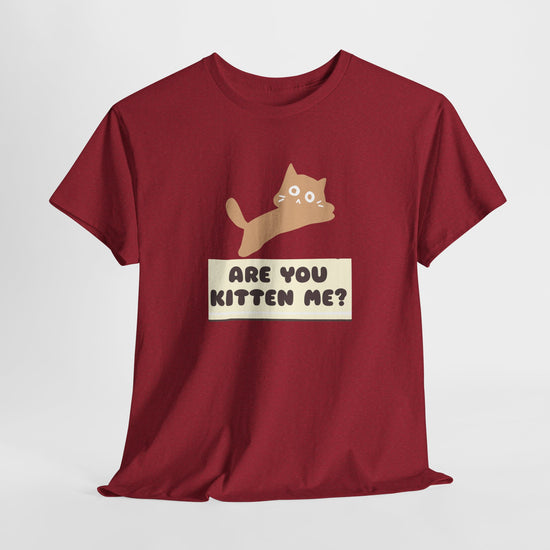 Are You Kitten Me? Cat Shirt – Funny Cat Lover Tee